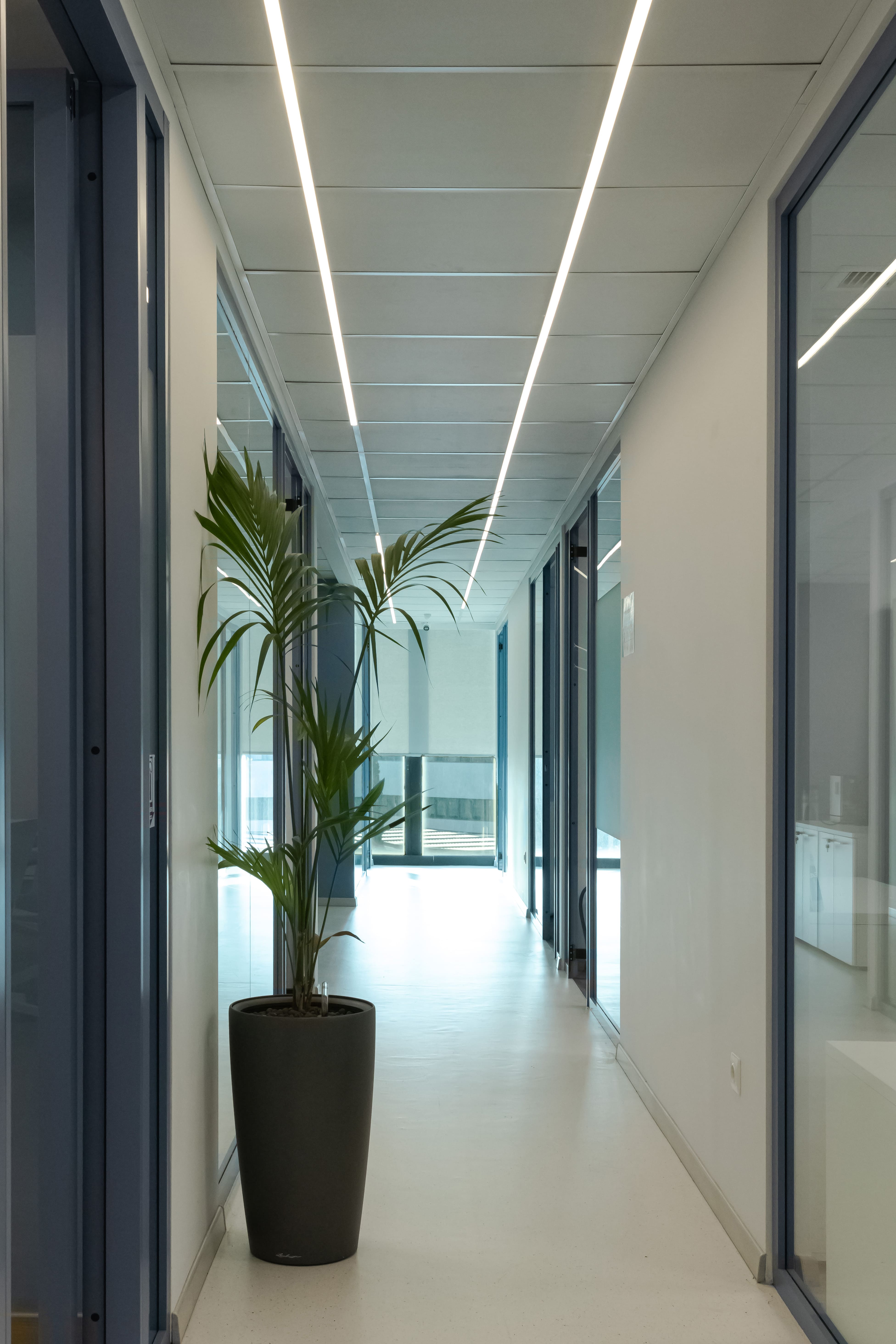 Office 2